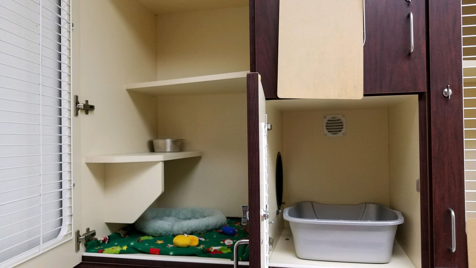 Indianapolis Pet Boarding Cat Boarding